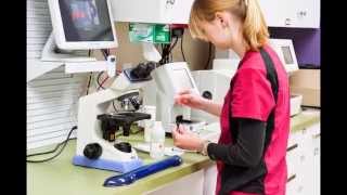 Tour of Green Acres Animal Hospital