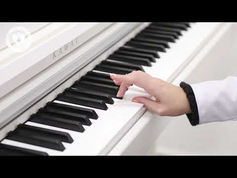 Bilgi Kalem Kolej | Müzik | Tuşlu Çalgı Piyano 5.Ders