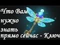 ЧТО ВАМ НУЖНО ЗНАТЬ ПРЯМО СЕЙЧАС?