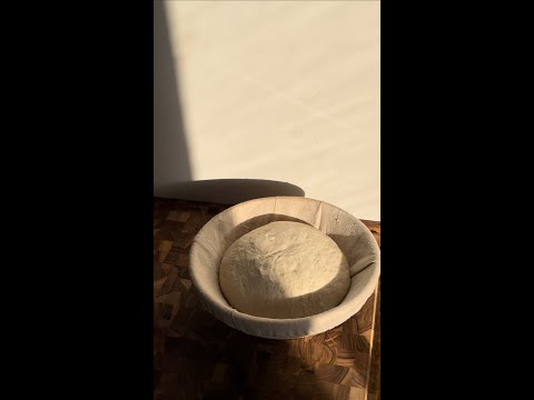 वीडियो: टार्टाइन ब्रेड के लिए किस आकार का डच ओवन?