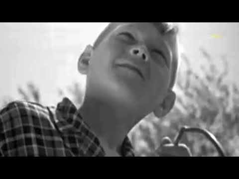 Хор ЦДДЖ - Скворцы прилетели