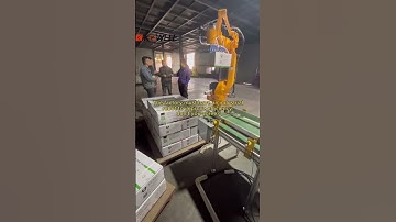 The factory must have an industrial robot to improve efficiency, don