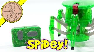 Green HexBug Robotic Spider!  Creepy Crawler Under My Control!