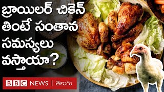 Chicken: బ్రాయిలర్ చికెన్ సంతాన సమస్యలకు దారితీస్తుందా? | BBC Telugu