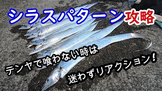 【太刀魚】シラスパターン攻略　テンヤで喰わない時は迷わずリアクション!