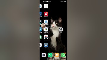 Final Project React Native #IndonesiaMengoding #Sanbercode #ReactNativeDasar