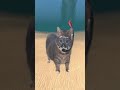 OIIA CAT Diving 🌊🐈️🌀 #gmod #shorts
