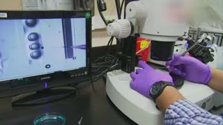 אחרי עשור: נעצר חשוד באונס ברעננה