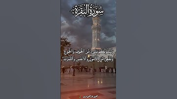 من سورة البقرة جميل الرحمن مراد#حالات_واتس #voiceeffects#اكسبلور#الرحمن# #لايك#المصحف#تلاوة_خاشعة