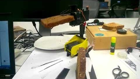 Robotic arm control  with Skype
