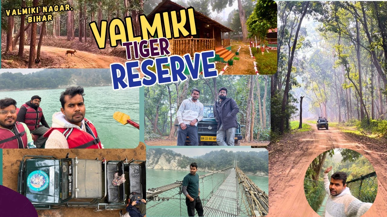 Exploring Valmiki Tiger Reserve ||Jungle Safari || Suspension Bridge || Bihar-Nepal || Vlog -5