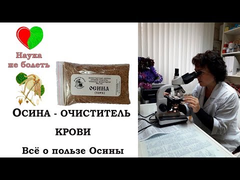 ОСИНА - ОЧИСТИТЕЛЬ КРОВИ  -||- ВСЕ ОБ ОСИНЕ -||- КОРА ОСИНЫ ЛЕЧЕНИЕ