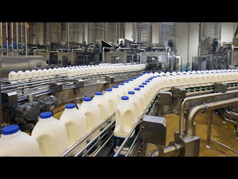 فيديو: ما هو أكبر مصنع ألبان في الولايات المتحدة؟