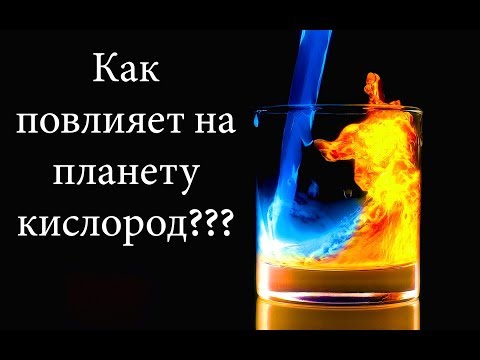 Вопрос: Что произойдет, если кислорода на Земле будет не хватать?