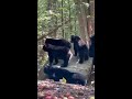 Никто не хочет 🤣😁😁 (звук)