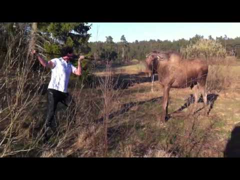 ეგრევე დავტყდებოდი ამის ადგილას