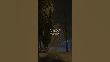 سورة المزمل - عبدالرحمن مسعد