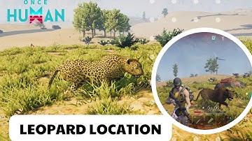 Leopard location In Once Human