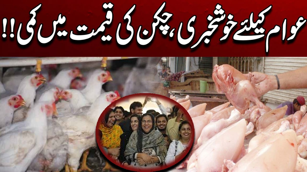 Today Rate list | Chicken Prices Drop! Massive Cut in Broiler Rates | City 41