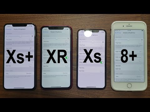 iPhone Xr - Display Quality Comparison with Xs  Xs Max and 8 Plus