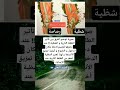 صورة توضح الفرق بين تأثير الطلقة النارية و الشظية عند دخوله Shorts حقائق صورة توضح الفرق بين تأثير الطلقة النارية و الشظية عند دخوله Shorts حقائق