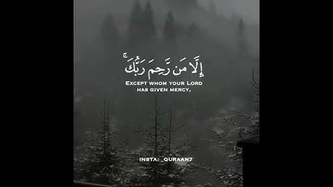 (وَمَا كَانَ رَبُّكَ لِيُهۡلِكَ ٱلۡقُرَىٰ بِظُلۡمٖ وَأَهۡلُهَا مُصۡلِحُونَ ) .القارئ إسلام صبحي