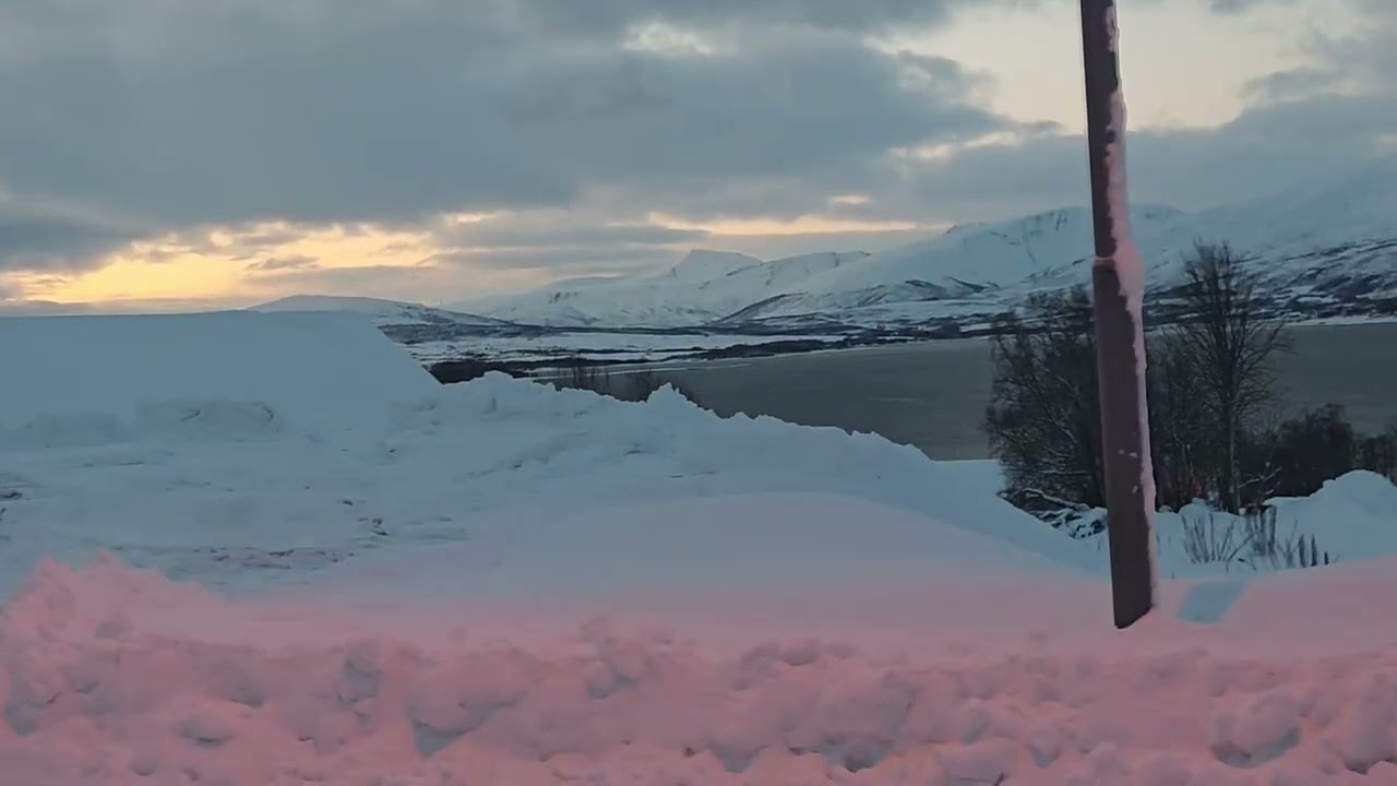 A Crisp Winter Walk❄️👣 