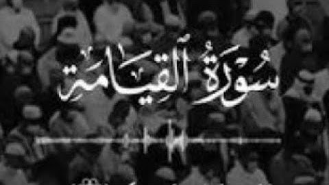 أيحسَبُ الإِنسانُ أَن يُترَكَ سُدًى | سورة القيامة | د.ياسر الدوسري