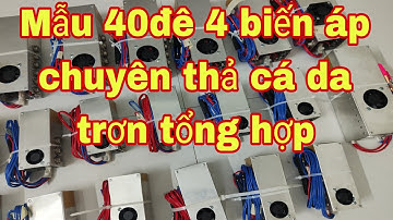 Máy lạnh 40d thả cáp đánh tổng hợp tất cả các loại cá da trơn . LH 0974332393