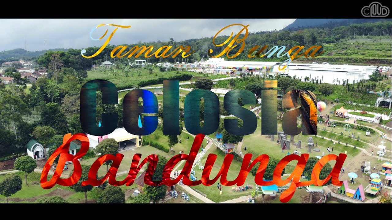 Taman Bunga Celosia 1 Dan 2 Bandungan Youtube