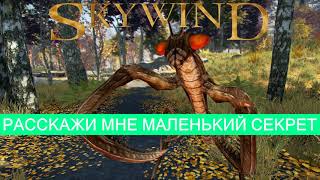 Skywind - Little Sicret