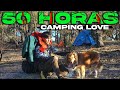 50 horas acampando en el bosque con mi novia y mascotas solo camping 2 noches