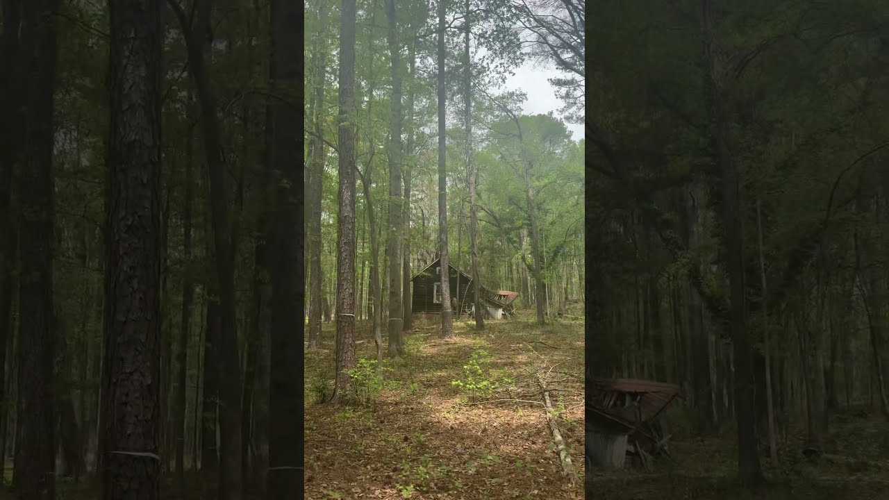 Abandoned House In Georgia Woods Where The Family Was M Rdered Inside Home 