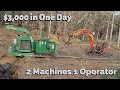chipping 200+ trees in 5 hours