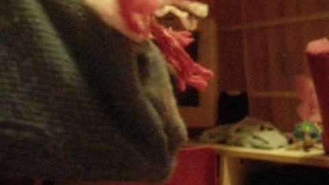 The Sock Puppet Show Movie- Part 1!