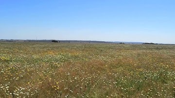 AXN Floater jet FPV 1 - very simple FPV pod