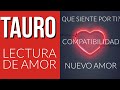 TAURO TAROT A QUIEN QUE VAS A CONOCER Y QUE VIENE EN EL AMOR