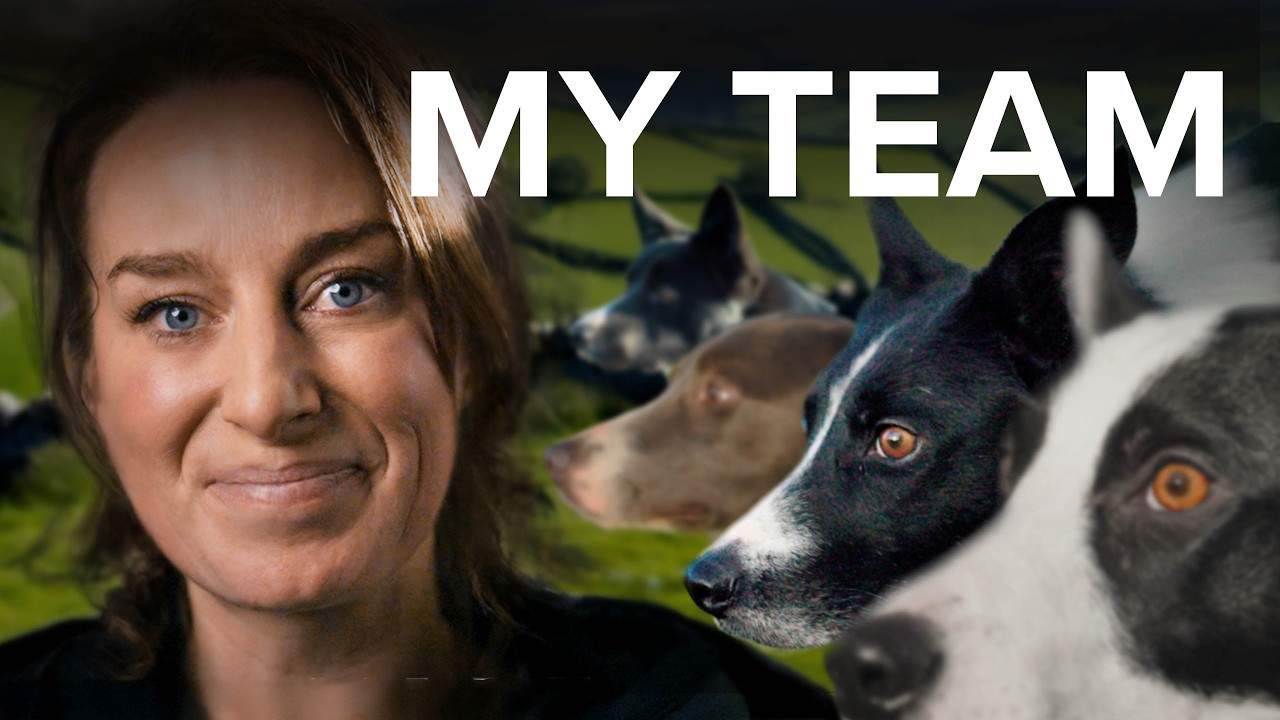 Meet an elite sheepdog trainer's pack of incredible sheepdogs | Working It – Episode 2