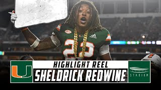 Sheldrick Redwine Miami Football Highlights - 2018 Season | Stadium