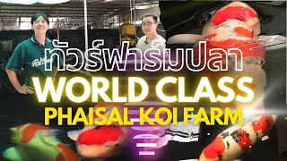 ทัวร์ฟาร์ม Phaisal Koi Farm ที่มีปลาระดับ World Class !!!