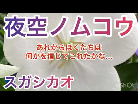 【歌ってみた】夜空ノムコウ/スガシカオ 女性キー 女 歌詞付き SMAP カバー cover by風呼アローラ