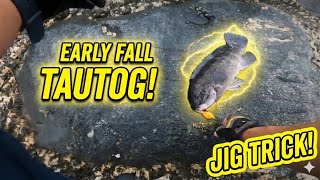 Non-Stop Tautog Action! Fall Jetty Fishing Guide!