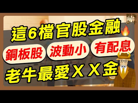 【金融股】6大官股金融，銅板價、波動小、配息穩，老牛最愛XX金，有吃又有拿！｜《老牛夜夜Talk》EP168