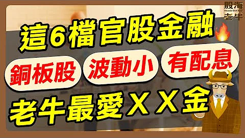 【金融股】6大官股金融，铜板价、波动小、配息稳，老牛最爱XX金，有吃又有拿！｜《老牛夜夜Talk》EP168 - 天天要闻