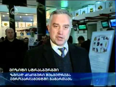 ვიზიტი სტრასბურგში