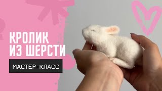 Мастер-класс по сухому валянию. Реалистичный кролик из шерсти своими руками