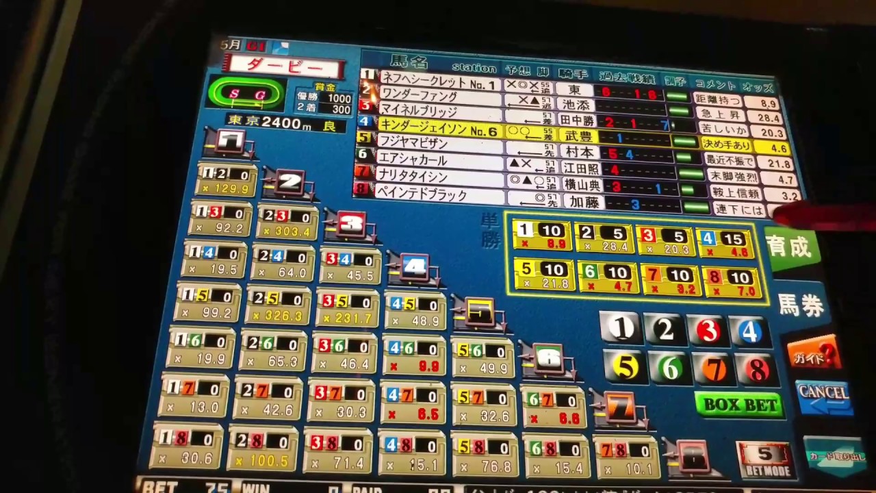 G1リーディングサイアー//G1-Leading Sire ダービー＋G1-Classic Turf 17/10/2017