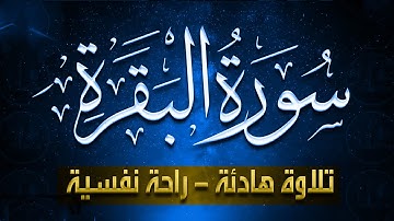سورة البقرة كاملة بدون اعلانات - راحة نفسية لا توصف 🎧 surah baqarah