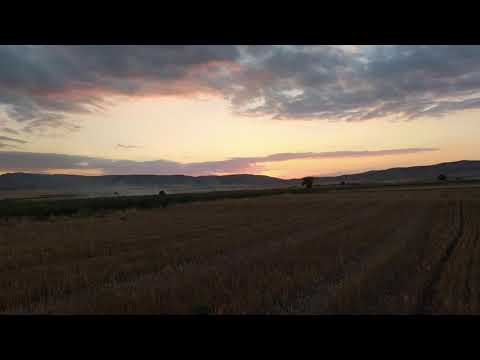 ნიადაგის მინიმალური დამუშავება ( minimal till )