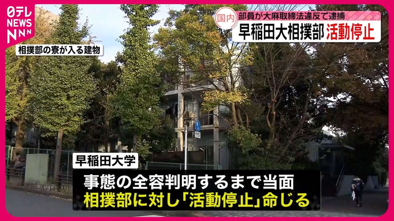 大麻 大学